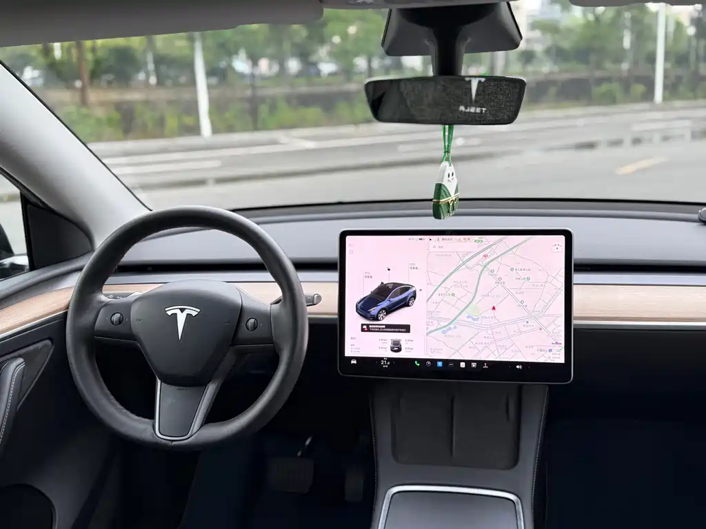 Tesla Model Y — миниатюра 7