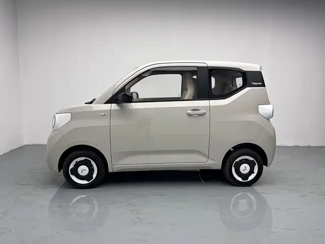 Wuling Mini EV MINIEV 2024 215km