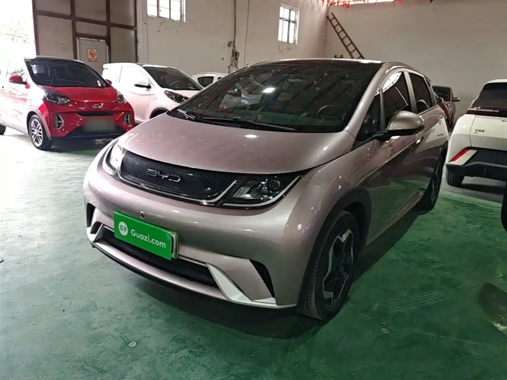 Byd Dolphin 2023