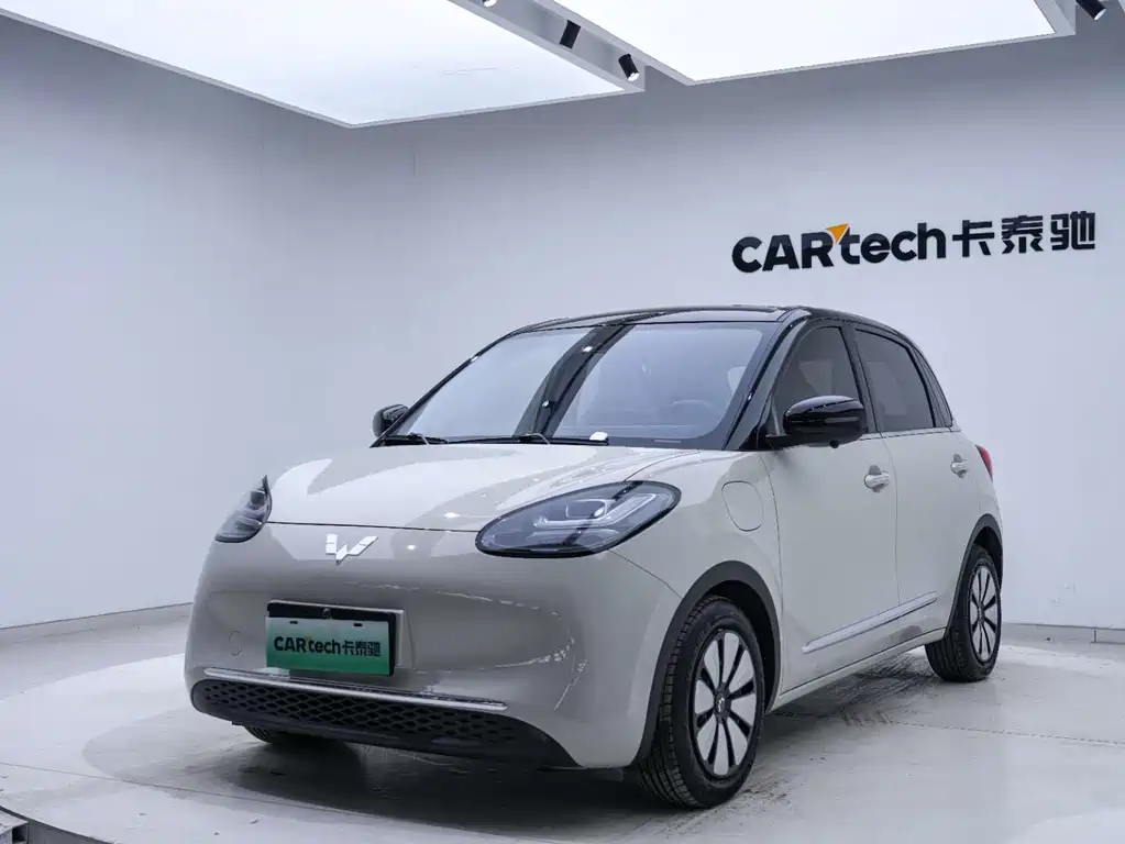 Wuling Binguo 2023 333km +