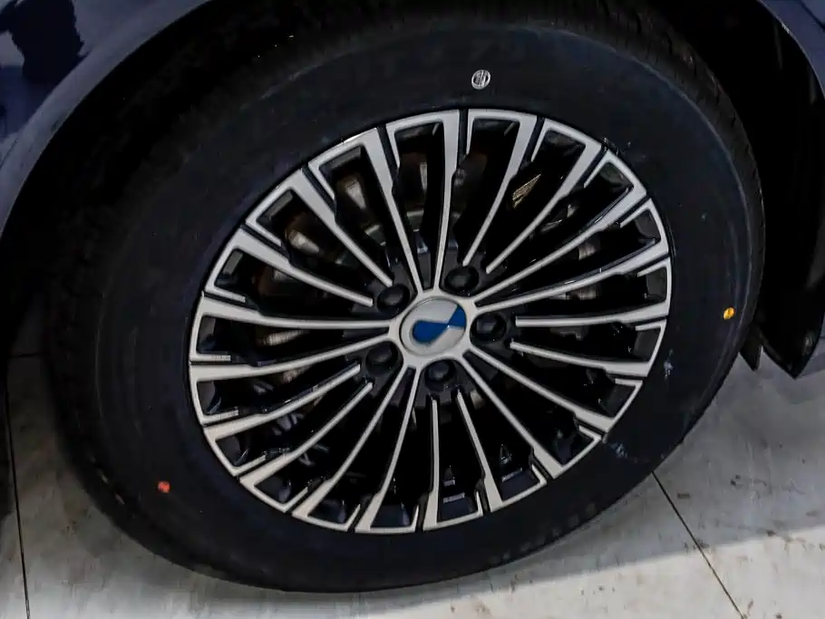 Denza Denza D9 — миниатюра 34