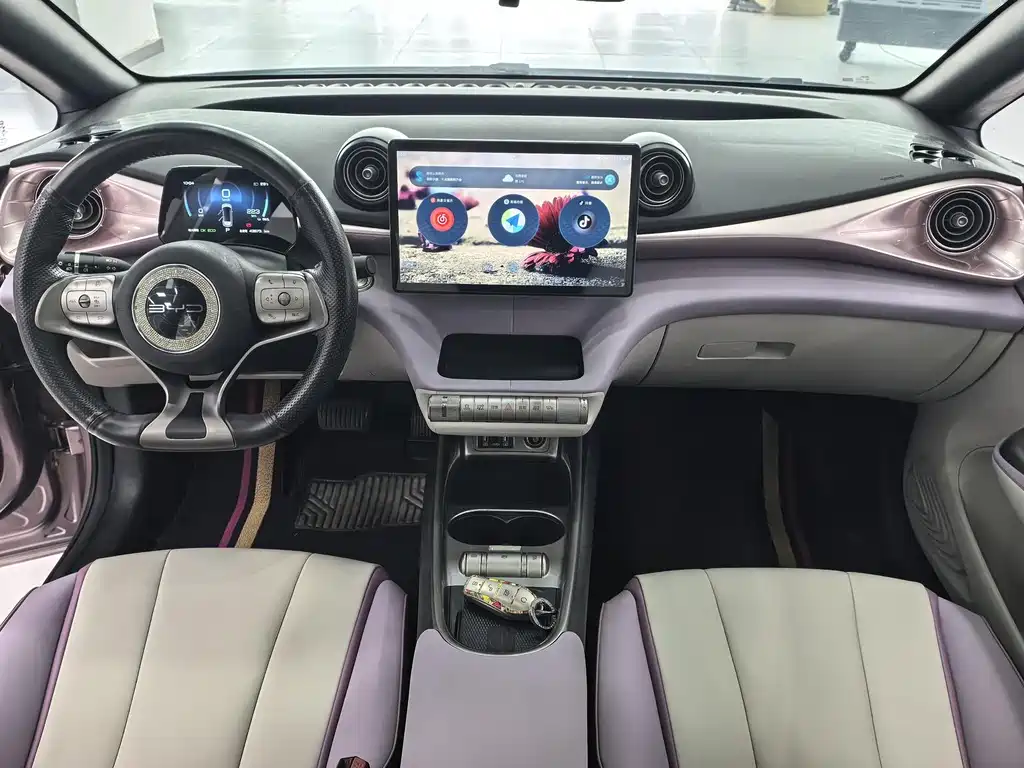 BYD Dolphin 2021 401km