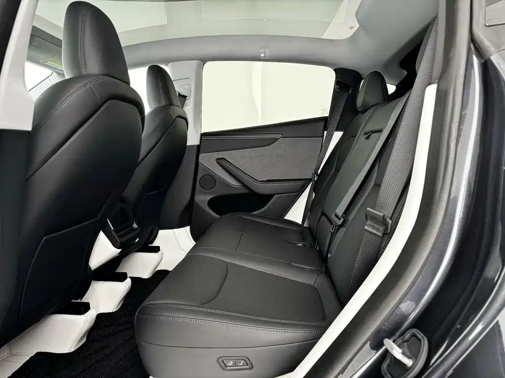 Tesla Model Y — миниатюра 12
