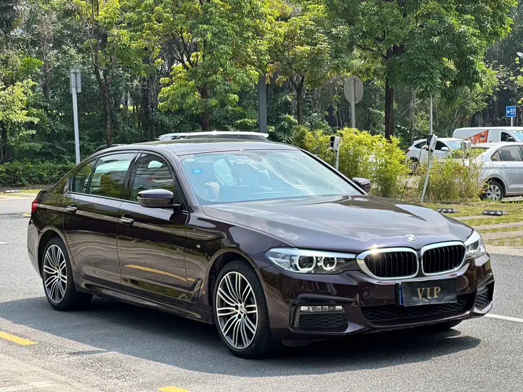 BMW 5 Series — миниатюра 3