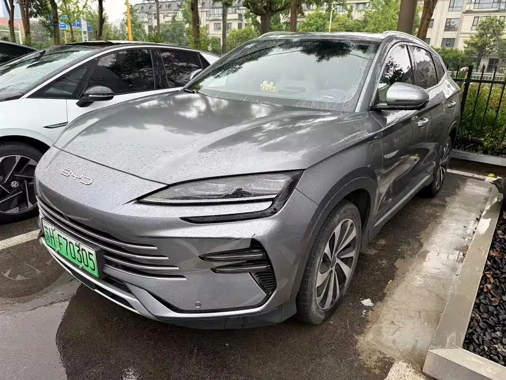Byd PLUS New Energy 2024