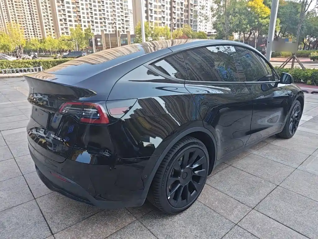 Tesla Model Y — миниатюра 7