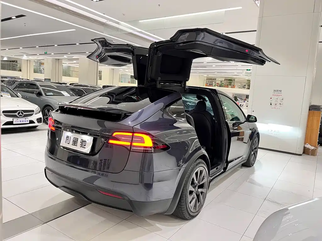 TESLA MODEL X