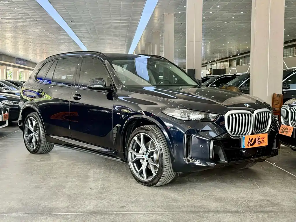 BMW X5 — миниатюра 3
