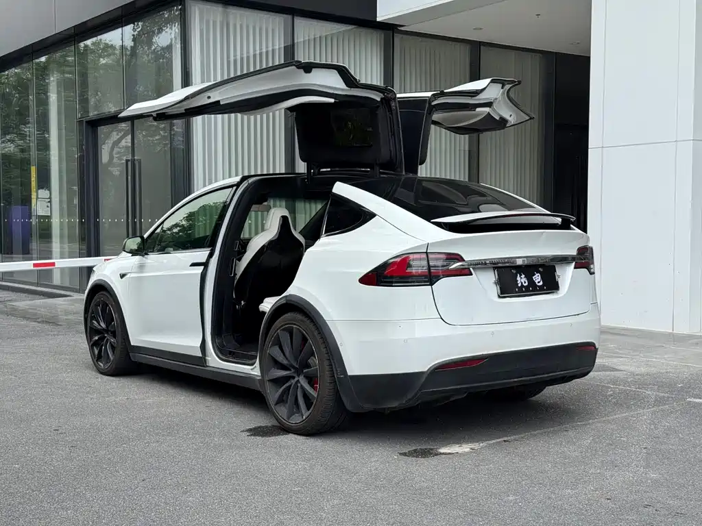 Tesla Model X — миниатюра 10