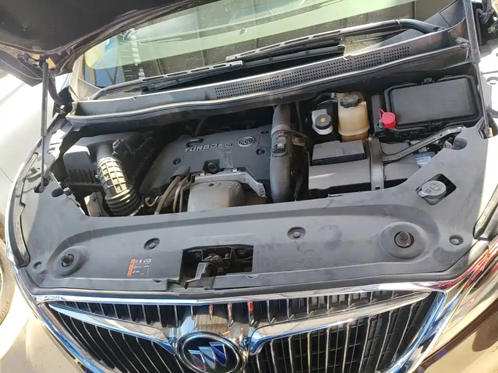 Buick GL8 — миниатюра 16