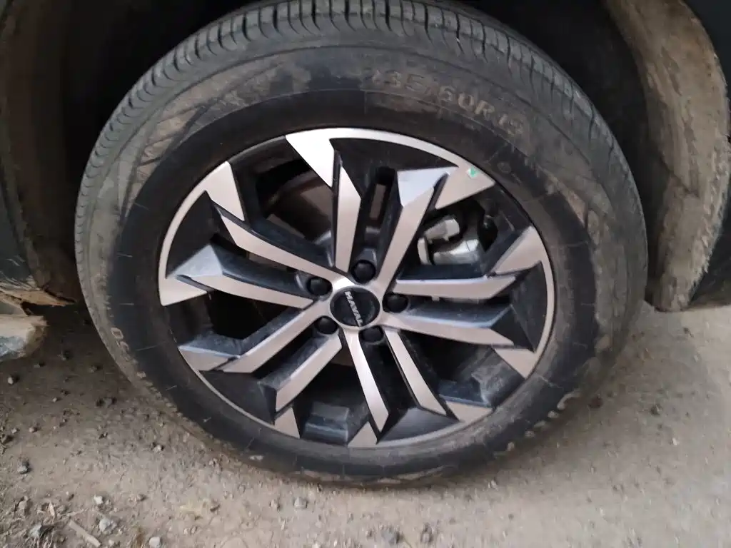 Haval Big Dog — миниатюра 8
