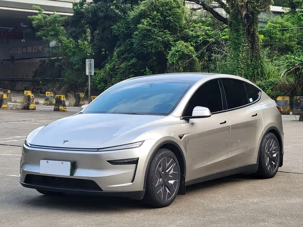 Tesla Model Y L
