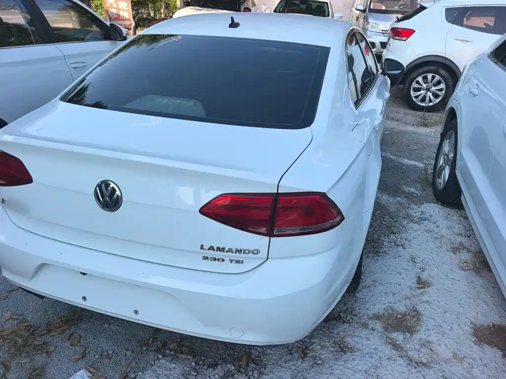 Volkswagen Lamando — миниатюра 5
