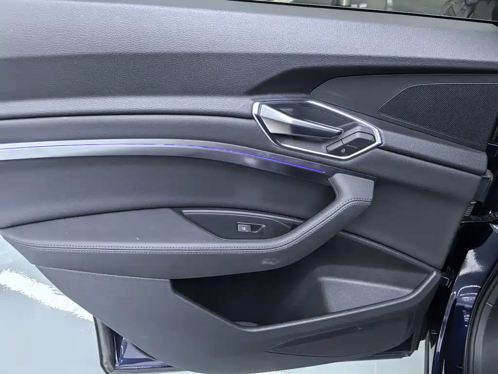 Audi e-tron (Import) — миниатюра 10