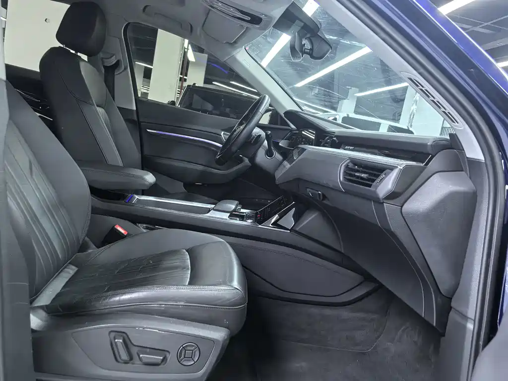 Audi e-tron (Import) — миниатюра 14