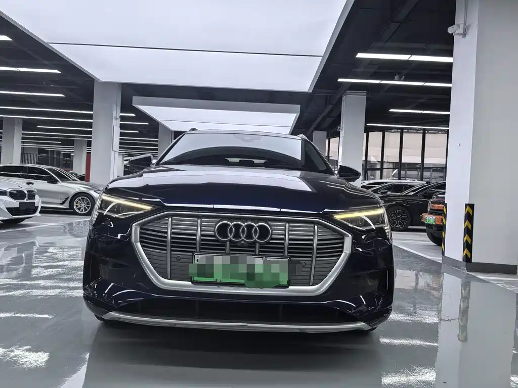 Audi e-tron (Import) — миниатюра 2