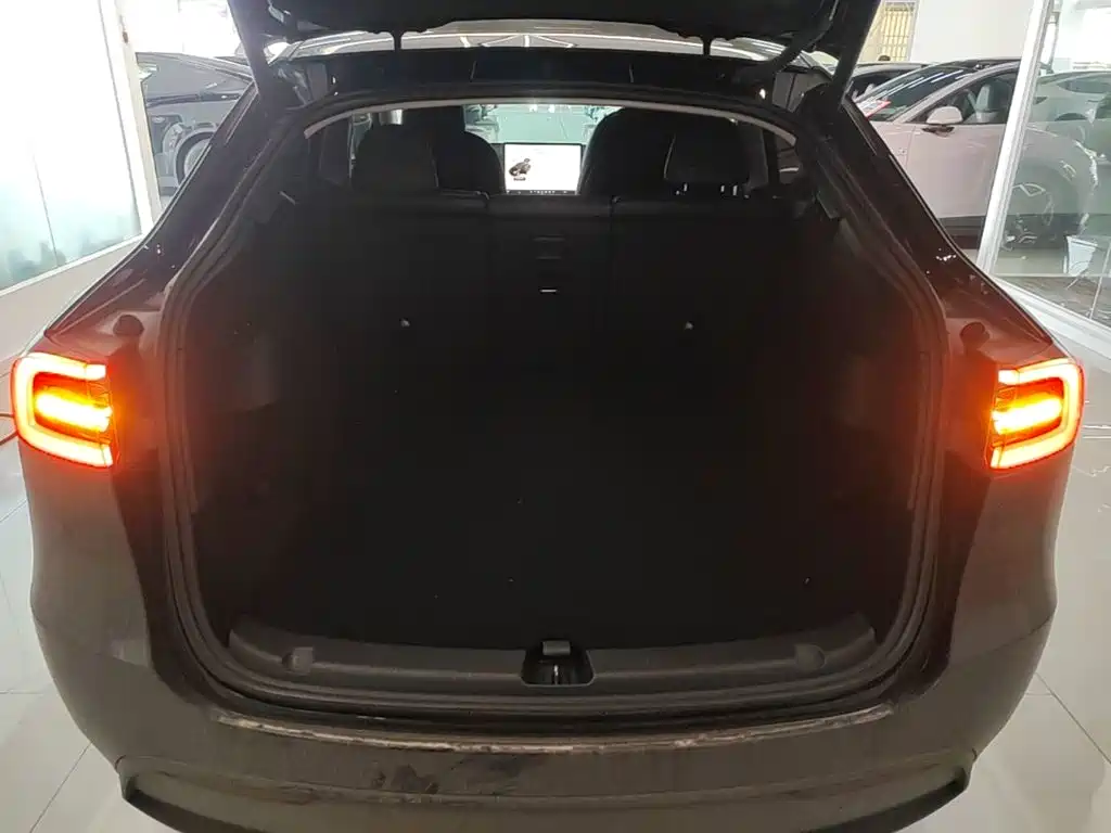 Tesla Model Y — миниатюра 19