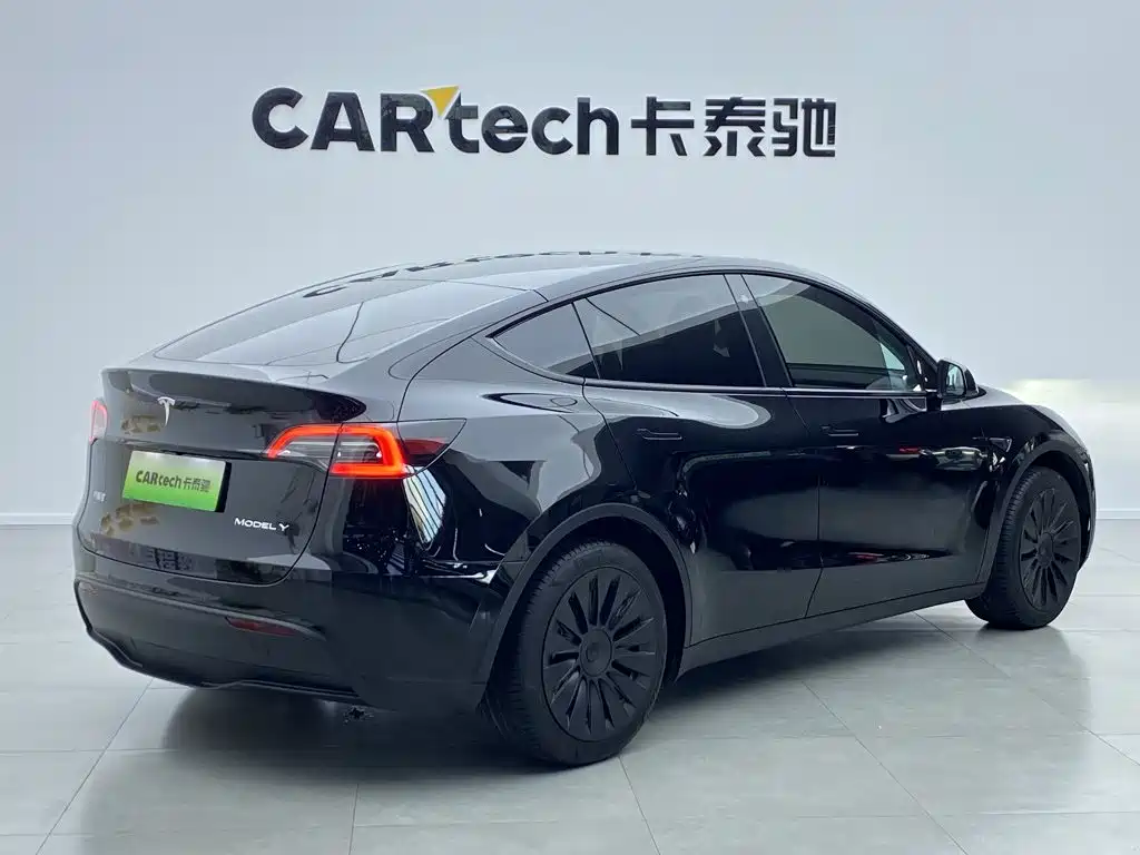 Tesla Model Y — миниатюра 3