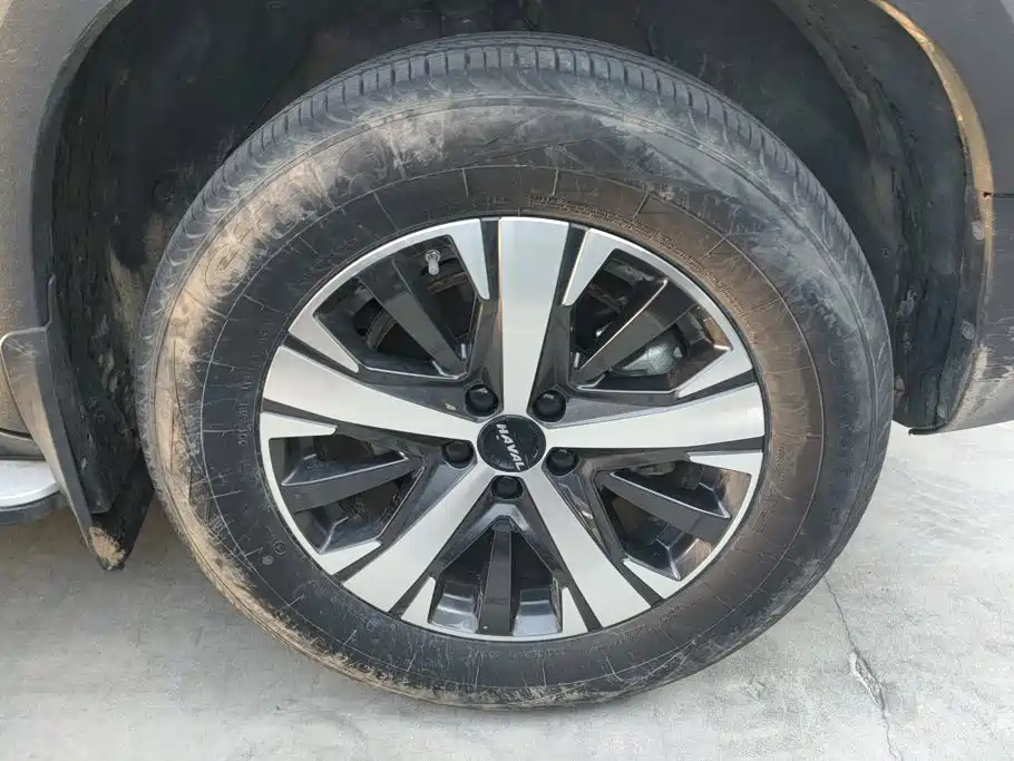 Haval Big Dog — миниатюра 6