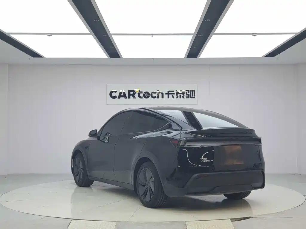 Tesla Model Y — миниатюра 3