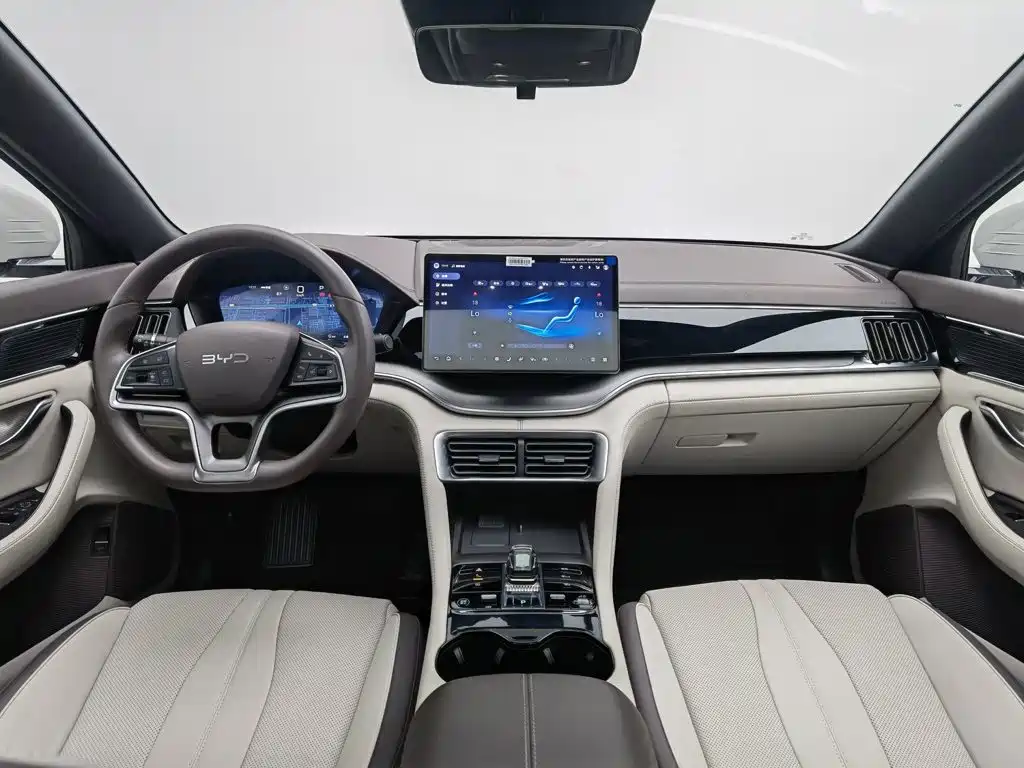 BYD PLUS New Energy — миниатюра 5