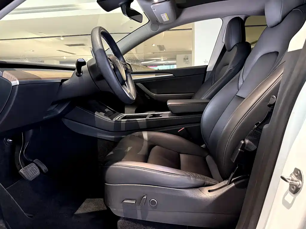 Tesla Model Y — миниатюра 5