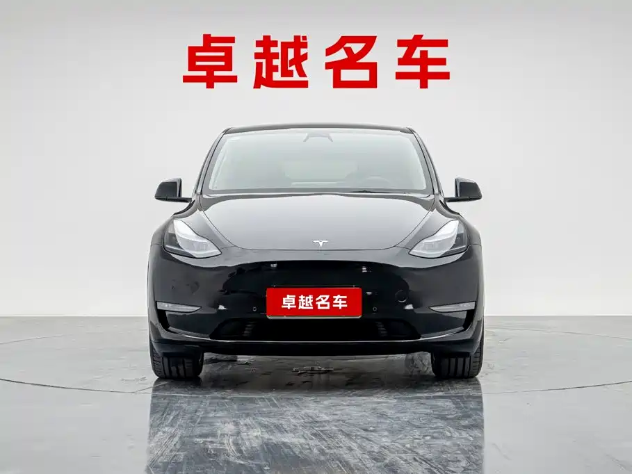 Tesla Model Y — миниатюра 2
