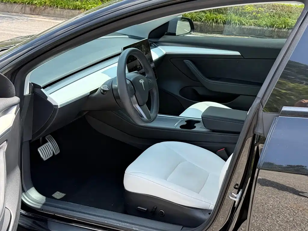 Tesla Model 3 2021 Performance 3D6