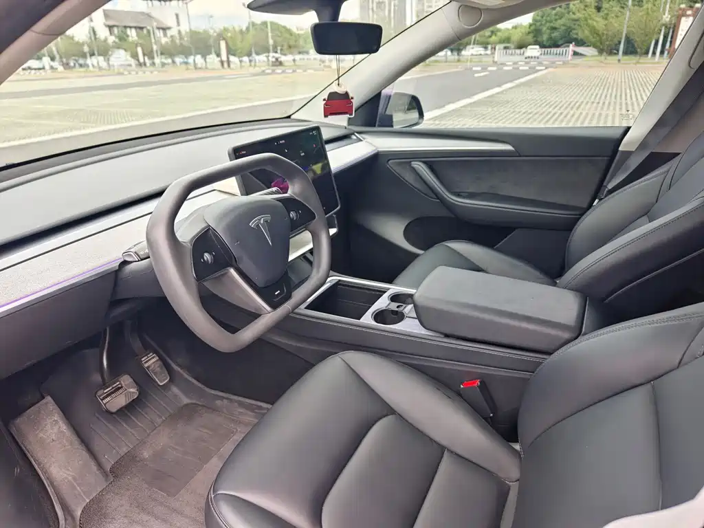 Tesla Model Y — миниатюра 2