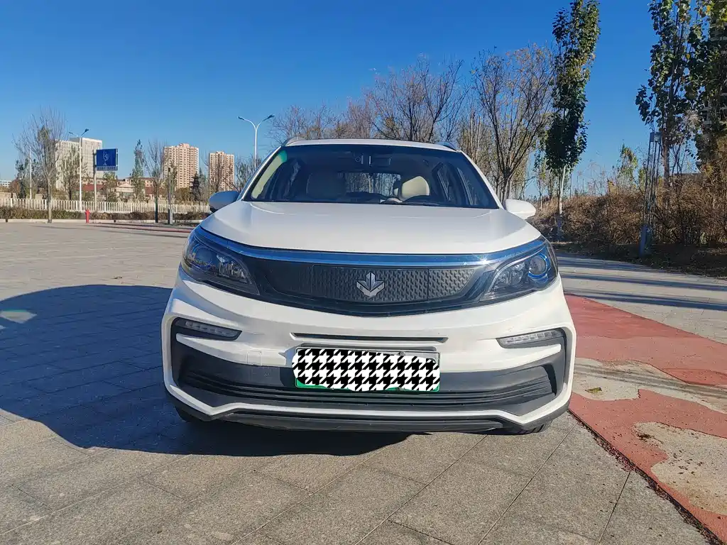 RUILAN AUTOMOBILE MAPLE LEAF 30X