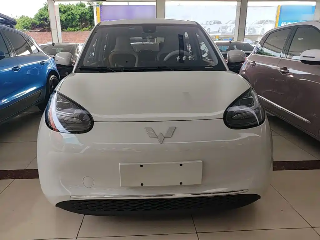 Wuling Binguo 2023 333km