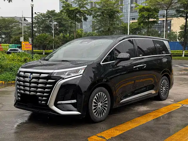 2024 Denza D9