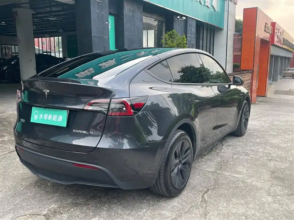 Tesla Model Y — миниатюра 13