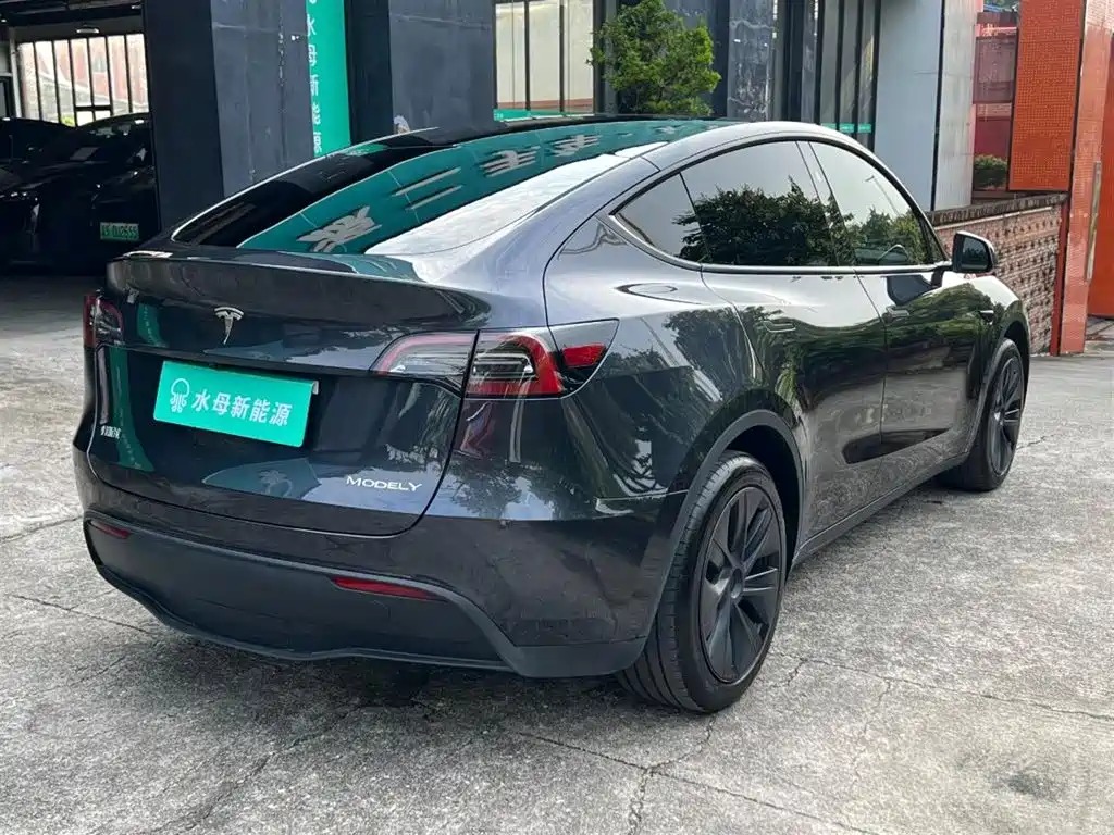 Tesla Model Y — миниатюра 12
