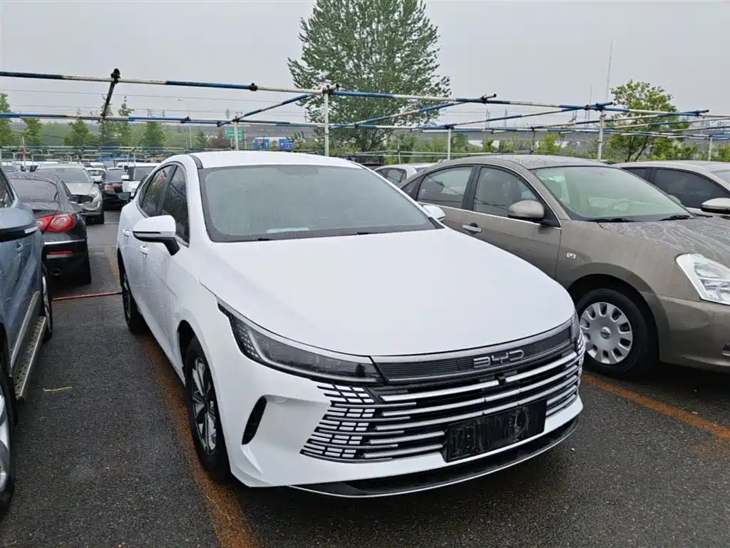 BYD Destroyer 05 2024 DM-i 55KM Luxury