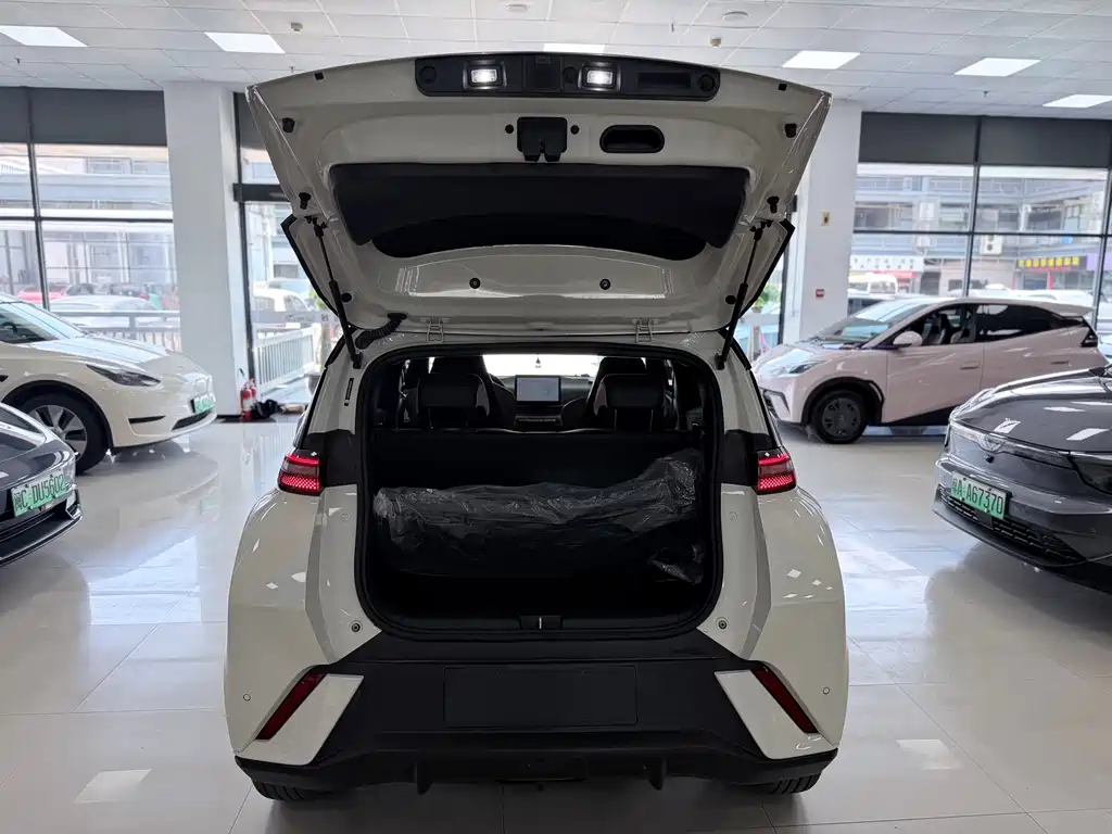 BYD Seagull 2024 305km Freedom