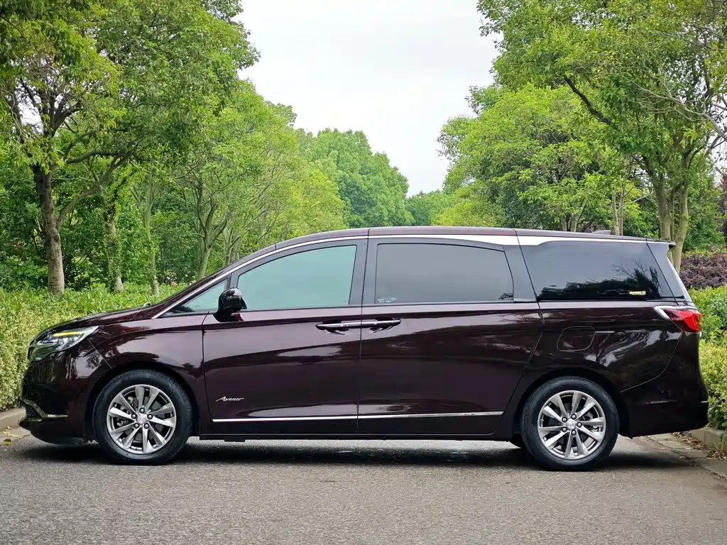 Buick GL8 2021 Avenir мест