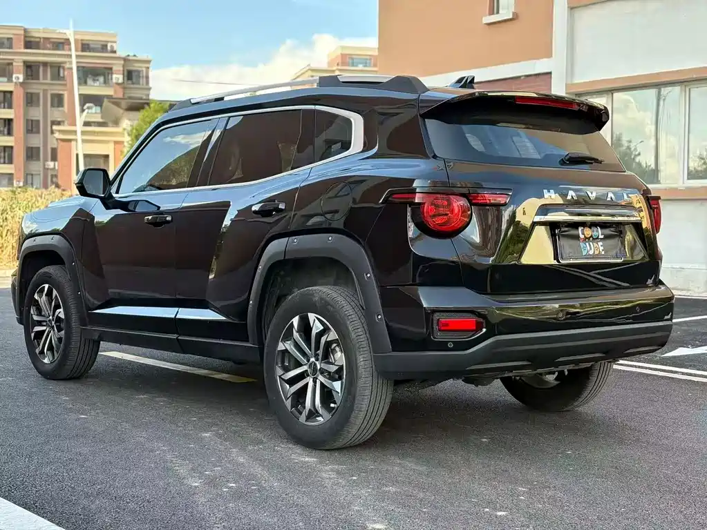 Haval Big Dog PLUS — миниатюра 8
