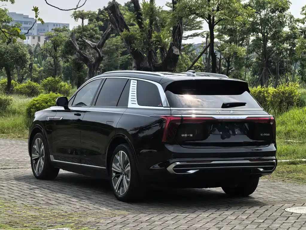 Hongqi Hongqi E-HS9 — миниатюра 3
