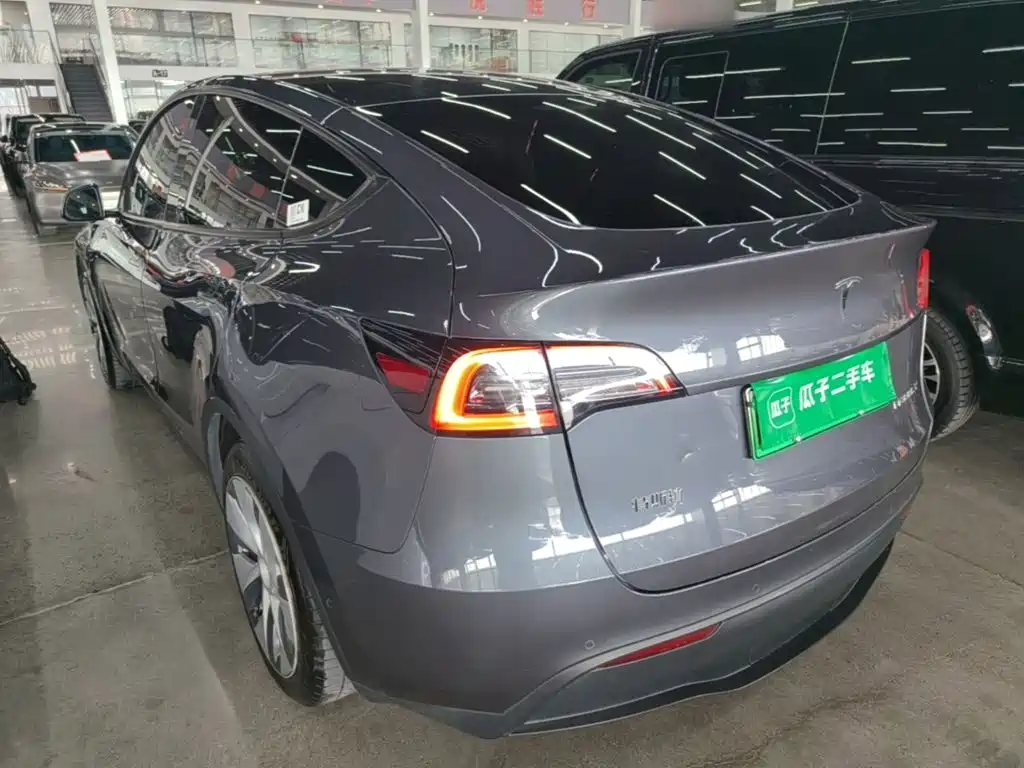 Tesla Model Y — миниатюра 5