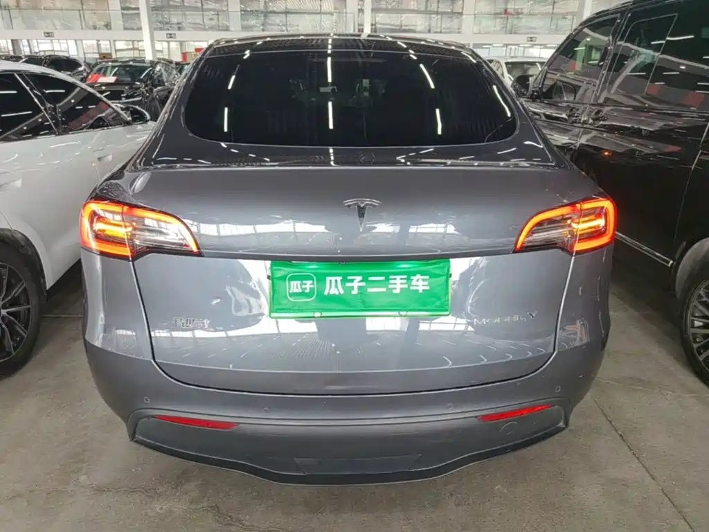 Tesla Model Y — миниатюра 6