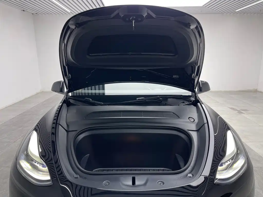 Tesla Model Y — миниатюра 9