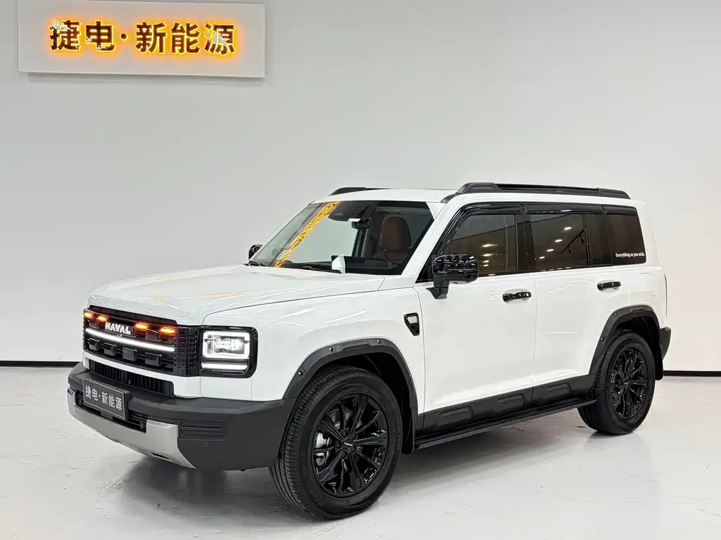 Haval Menglong New Energy 2025