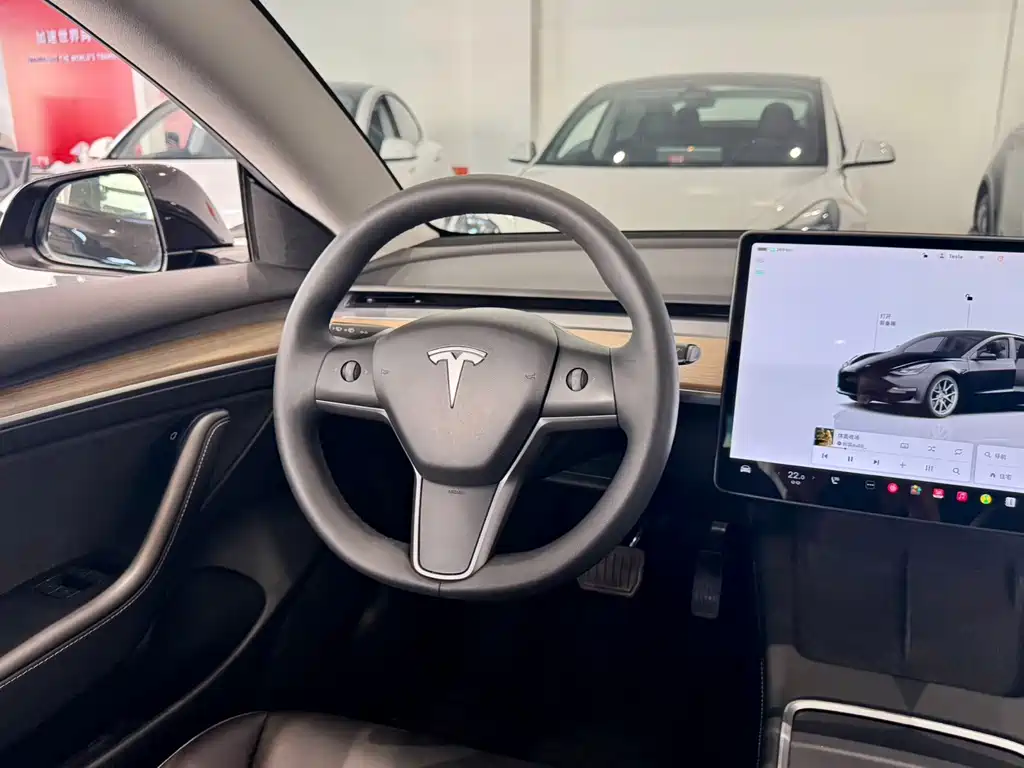 Tesla Model 3 — миниатюра 13