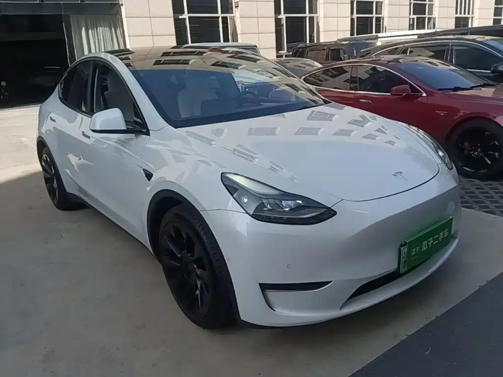 Tesla Model Y — миниатюра 4
