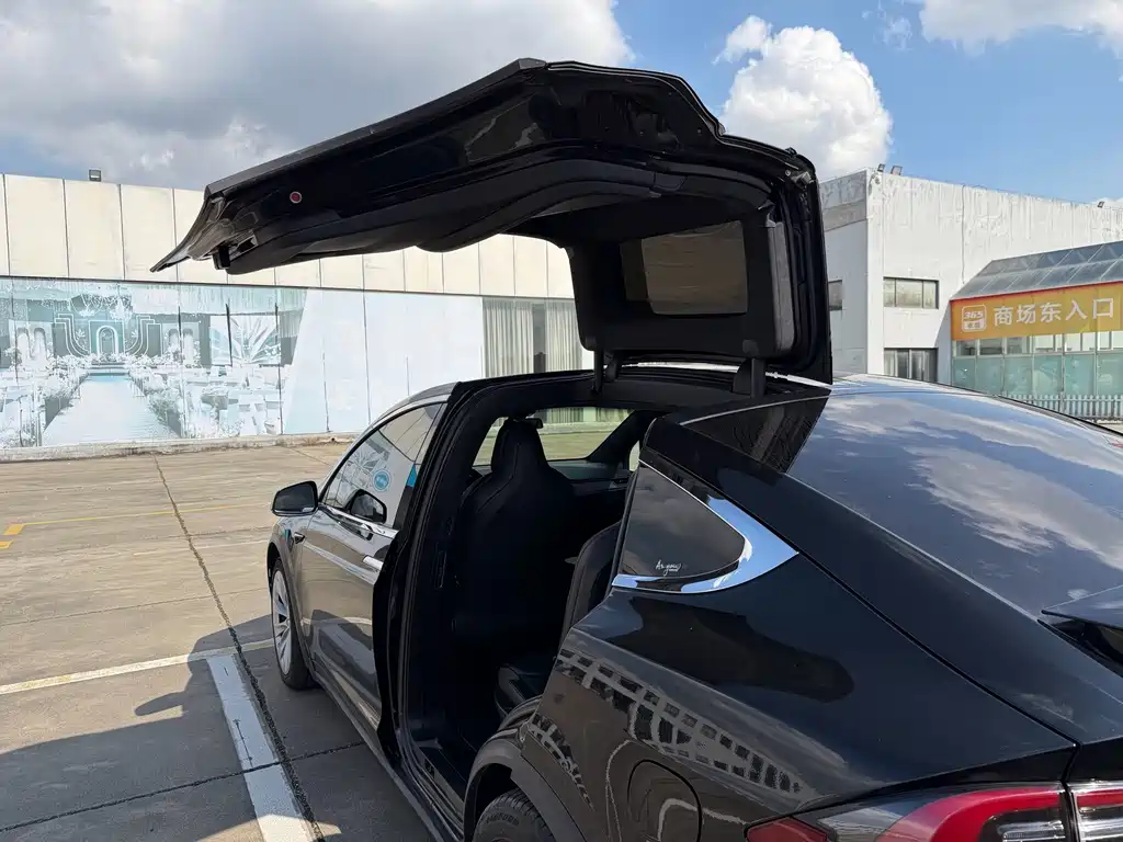 Tesla Model X — миниатюра 12