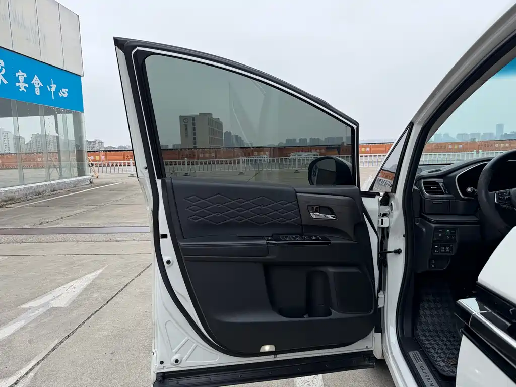 Honda Elysion — миниатюра 8