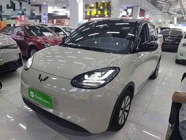 2024 Wuling Motors Binguo