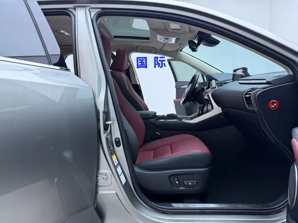 Lexus NX — миниатюра 14