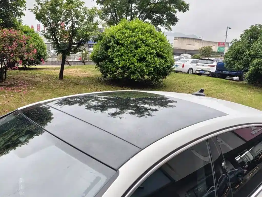 Volkswagen Lamando — миниатюра 3